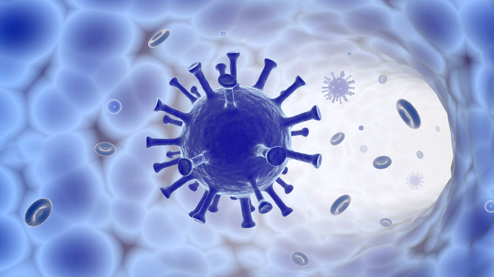 Virus