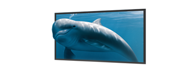 3D TV
