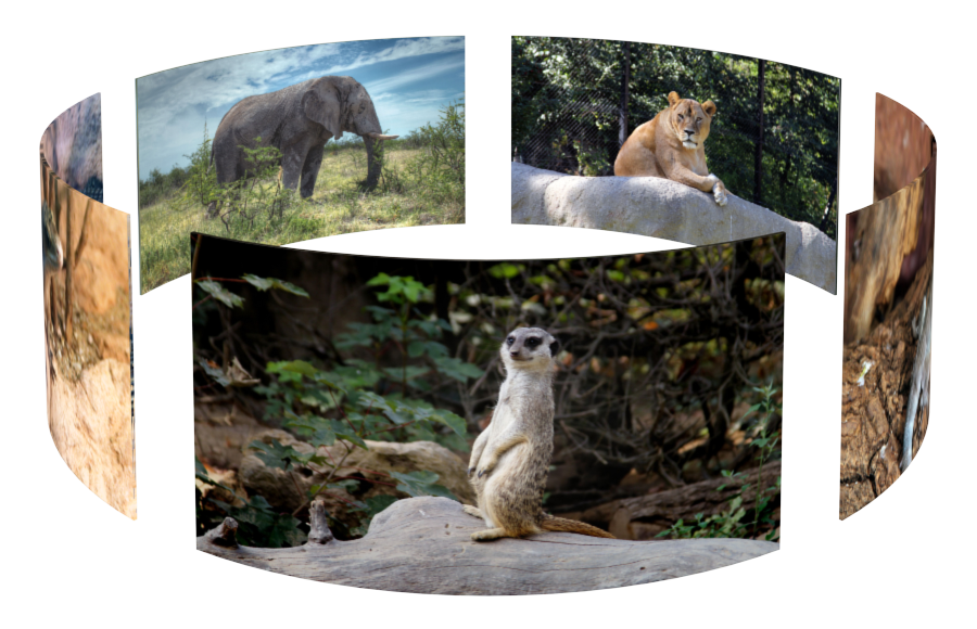 animals in 3D