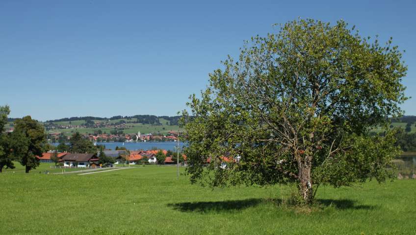 Foto Bayerische Alpen