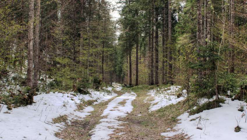 Bild in 3D ansehen Foto Bayerische Alpen im Frühling