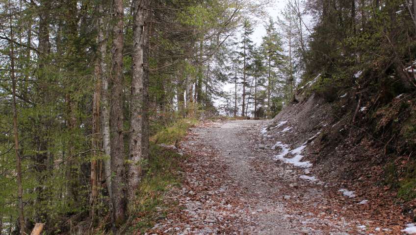 Bild in 3D ansehen Foto Bayerische Alpen im Frühling