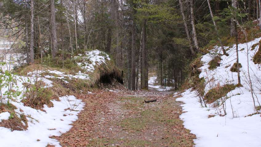 Bild in 3D ansehen Foto Bayerische Alpen im Frühling