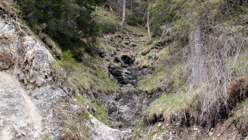 Bild in 3D ansehen Foto Bayerische Alpen im Frühling