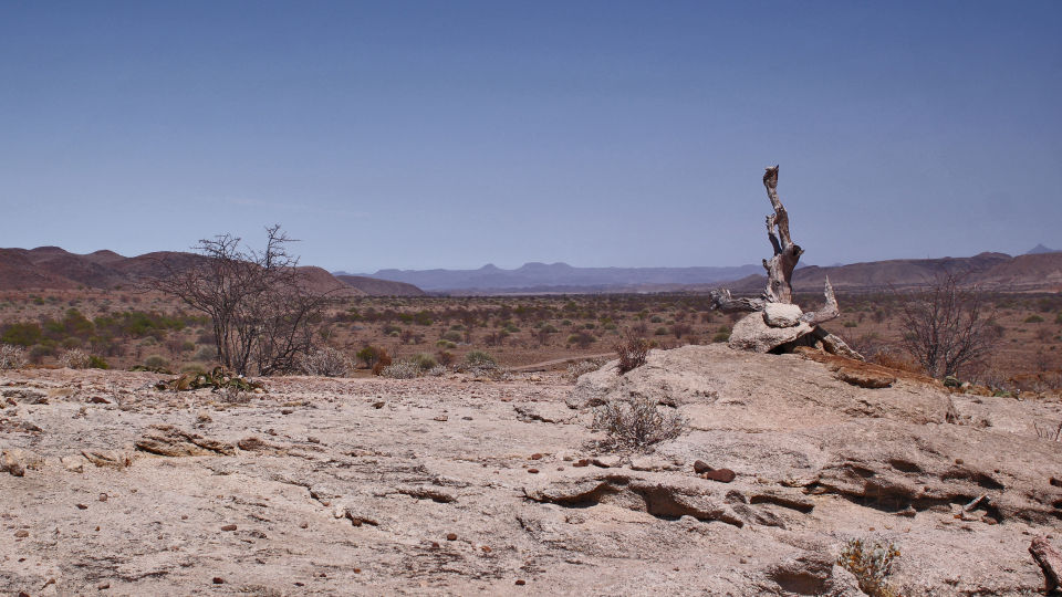 Damaraland Buschland