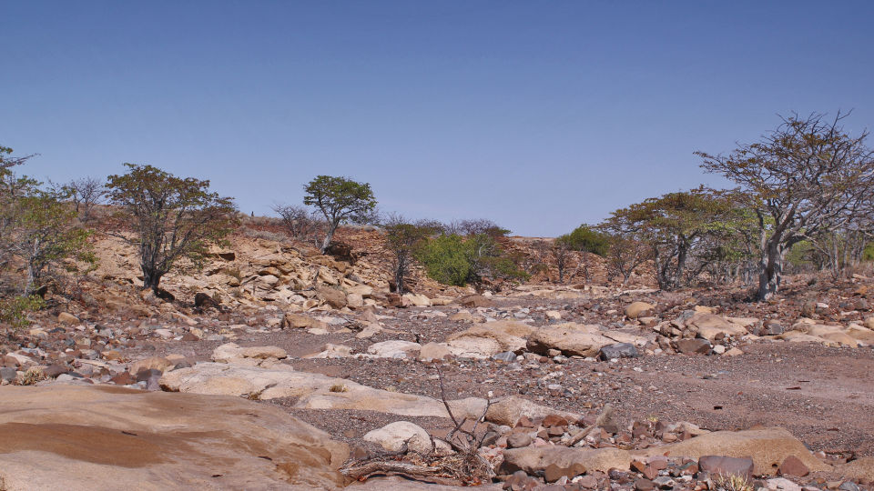 Damaraland Flussbett