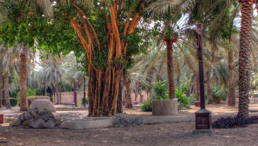 Bild in 3D ansehen Foto Dubai