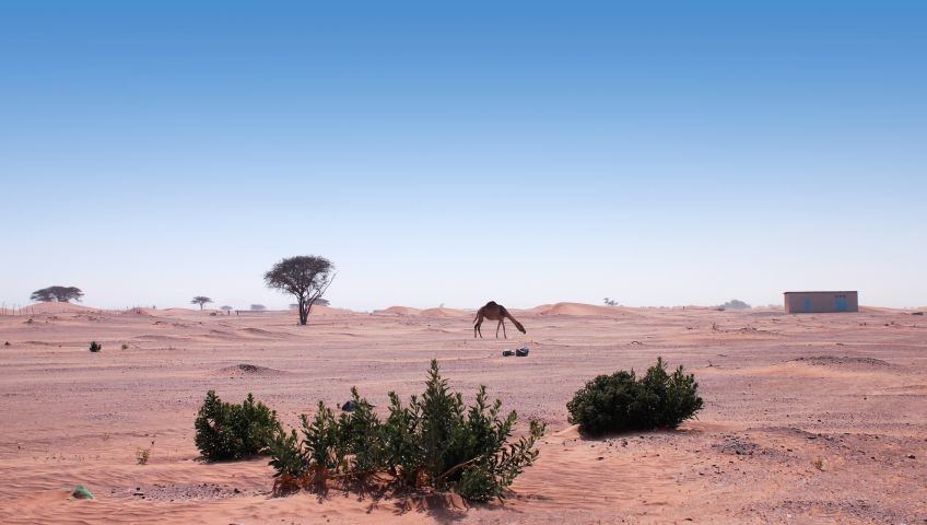 Bild in 3D ansehen Foto Dubai