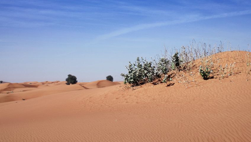 Bild in 3D ansehen Foto Dubai