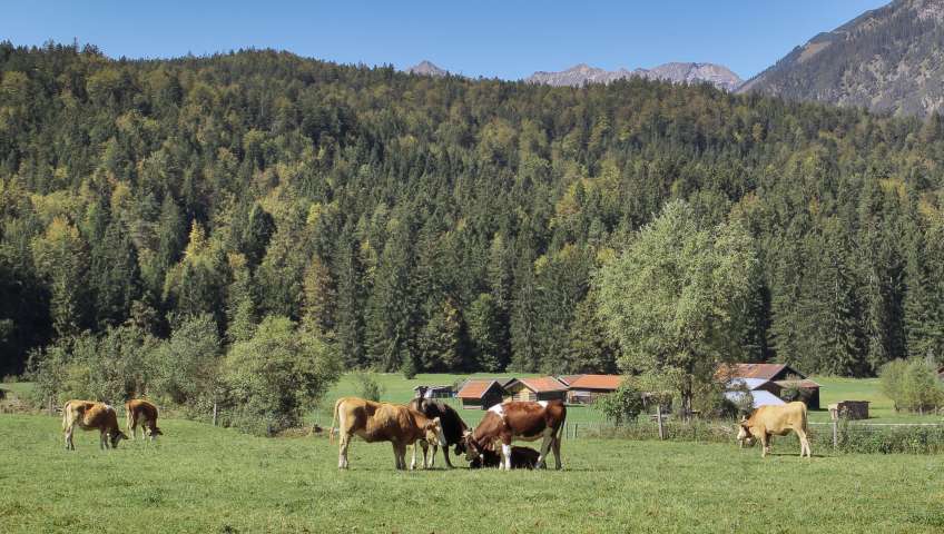Bild in 3D ansehen Foto Eibsee