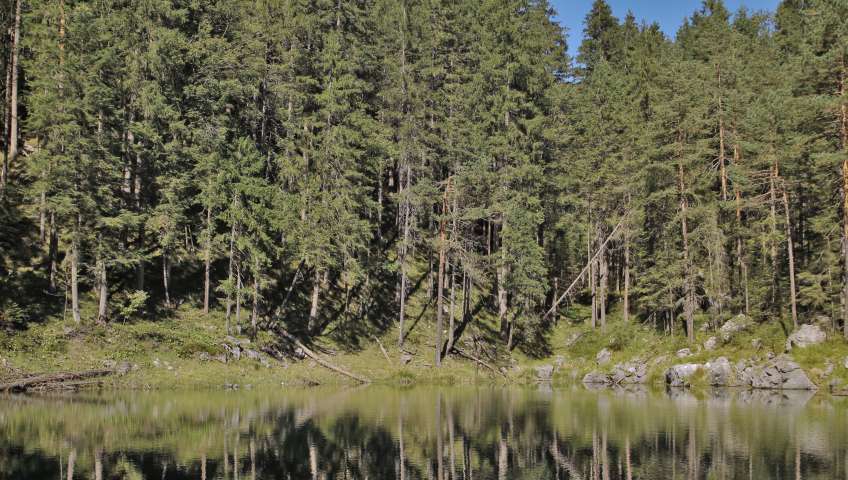 Bild in 3D ansehen Foto Eibsee
