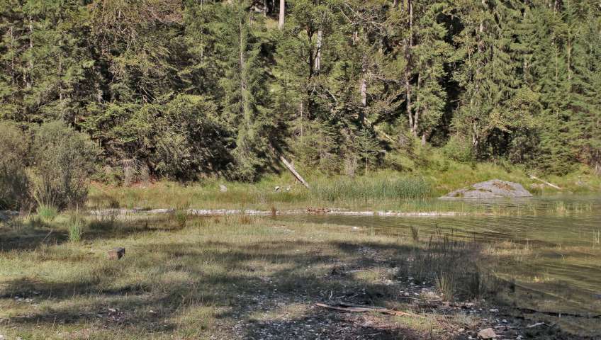 Bild in 3D ansehen Foto Eibsee