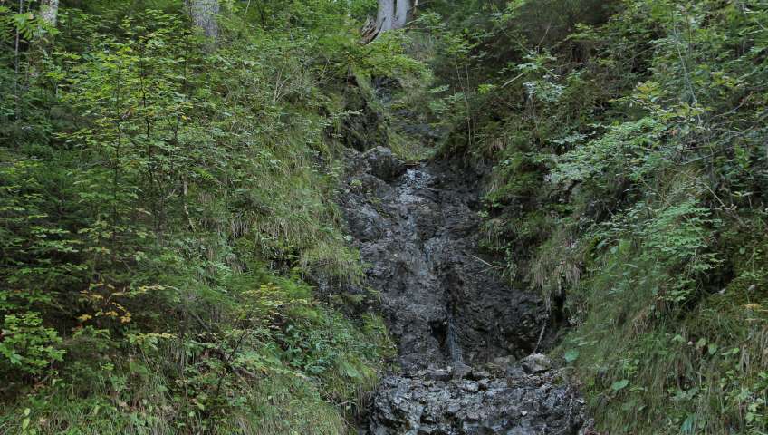 Bild in 3D ansehen Foto Eibsee