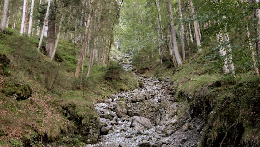 Bild in 3D ansehen Foto Eibsee