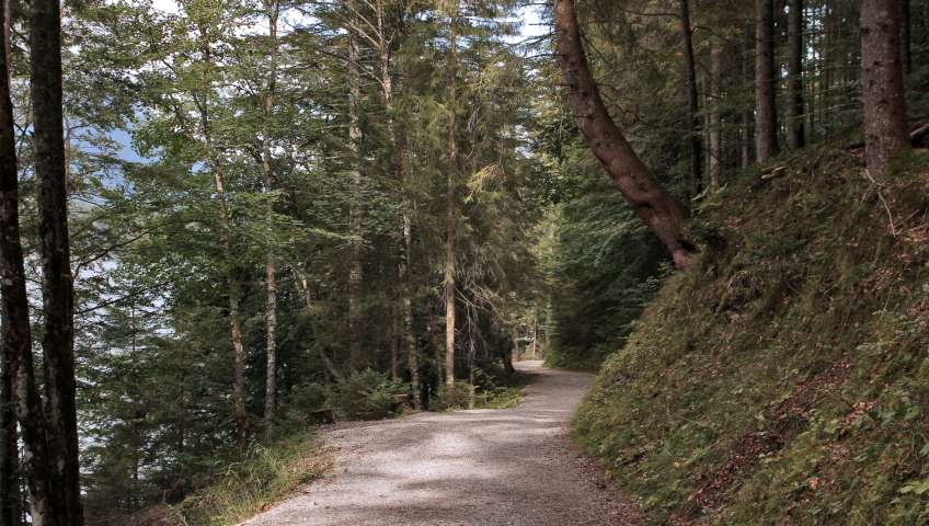 Bild in 3D ansehen Foto Eibsee