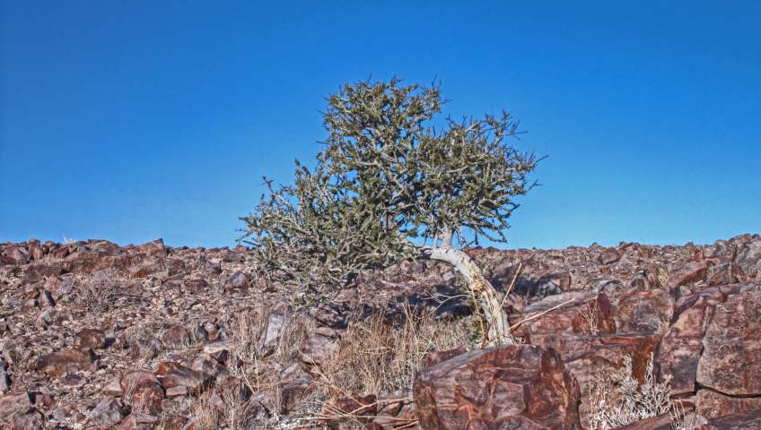 Bild in 3D ansehen Foto Fishrivercanyon