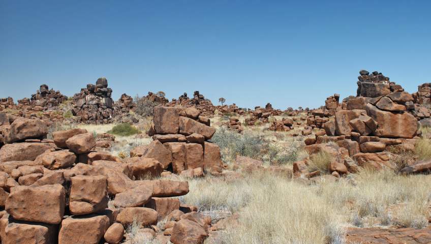 Foto Giants Playground