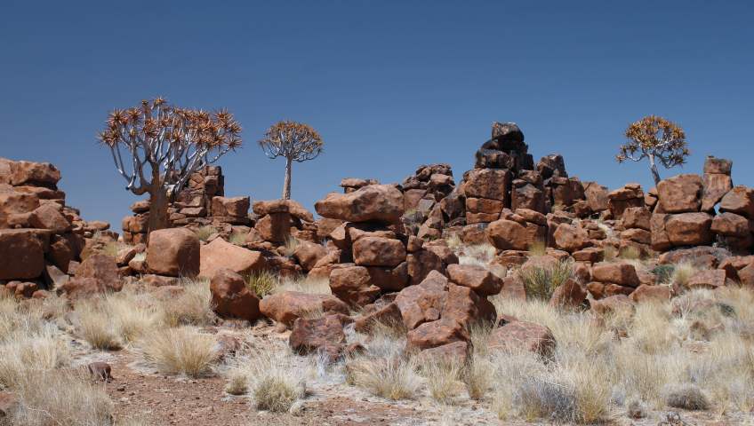Foto Giants Playground