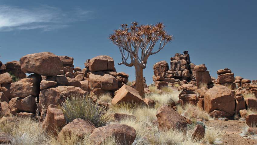 Foto Giants Playground