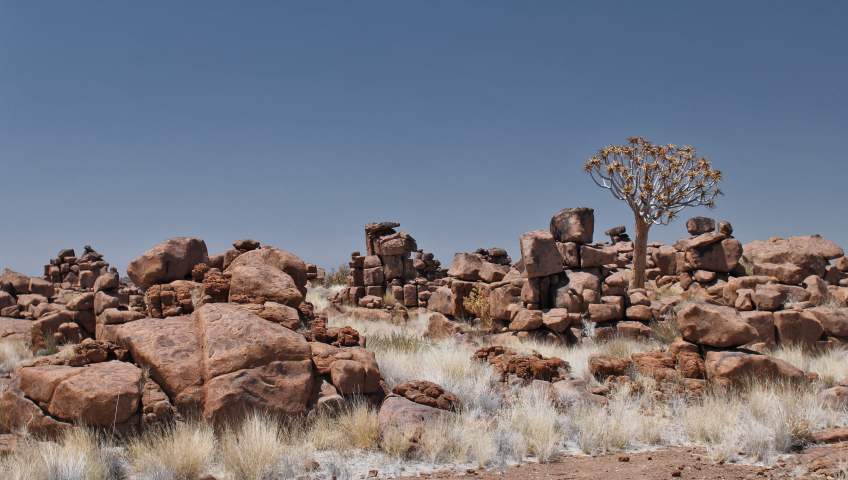 Foto Giants Playground