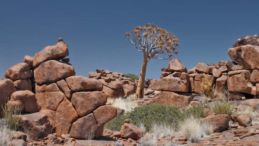 Foto Giants Playground