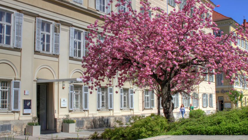Foto graz