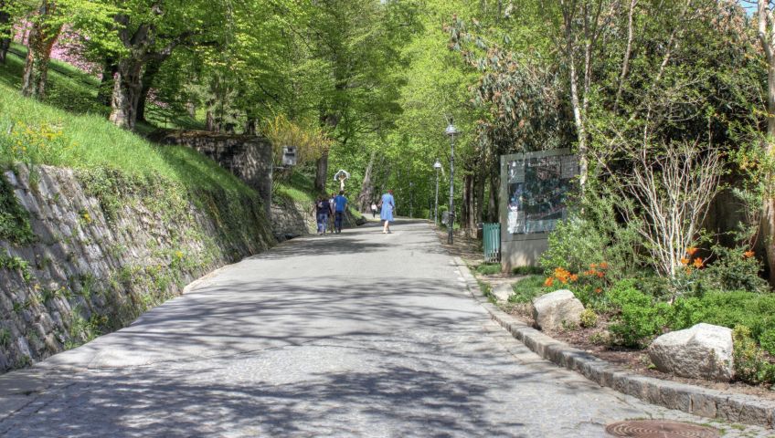 Foto graz