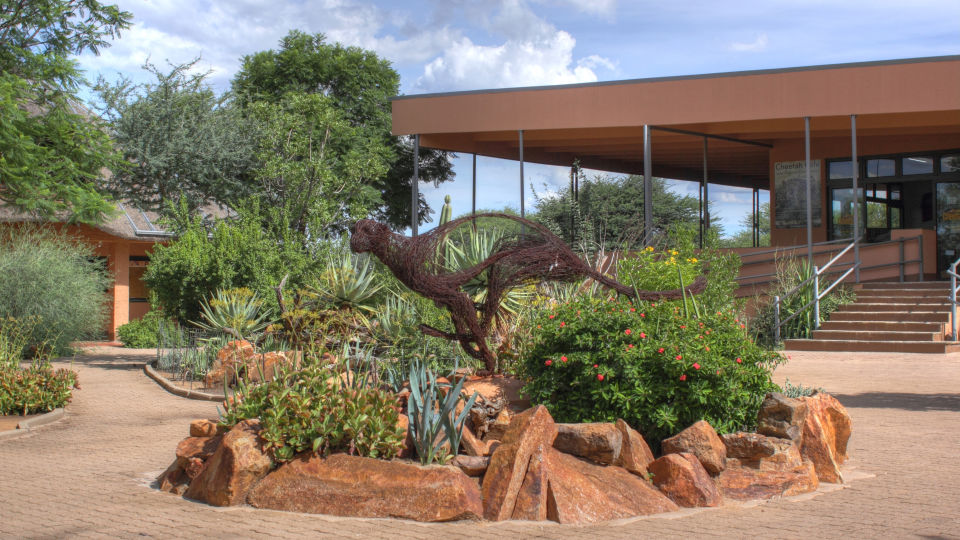 Cheetah Conservation Found