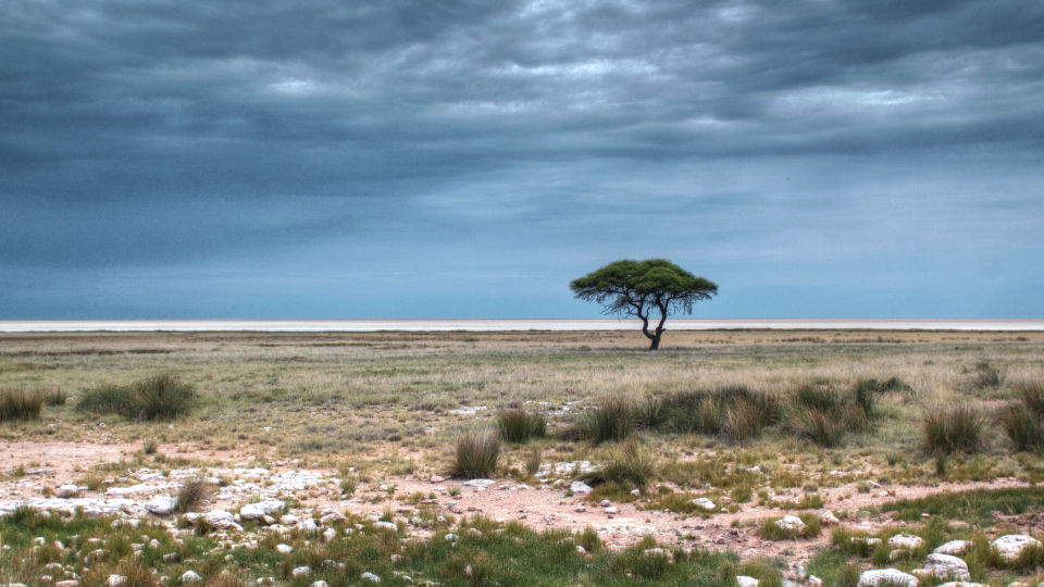 Etosha Nationalpark