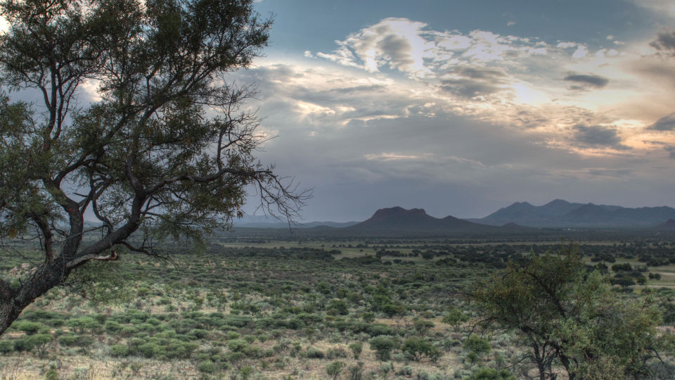 Kalahari