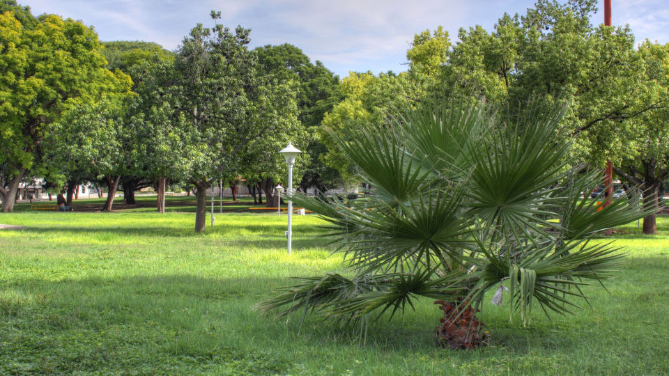 United Nations Park Tsumeb 