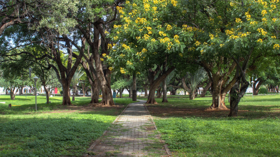 United Nations Park Tsumeb