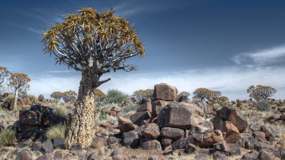 Tsumeb