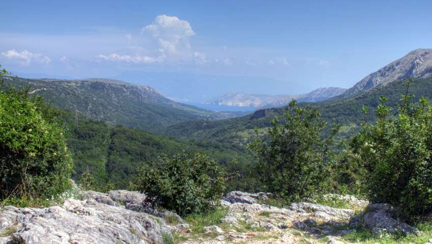 Foto Krk