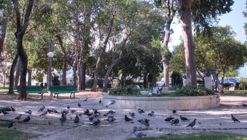 Foto Makarska