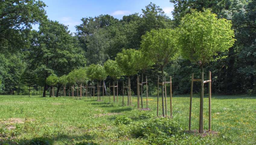 Maksimir Park in Zagreb