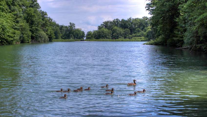 Maksimir Park in Zagreb