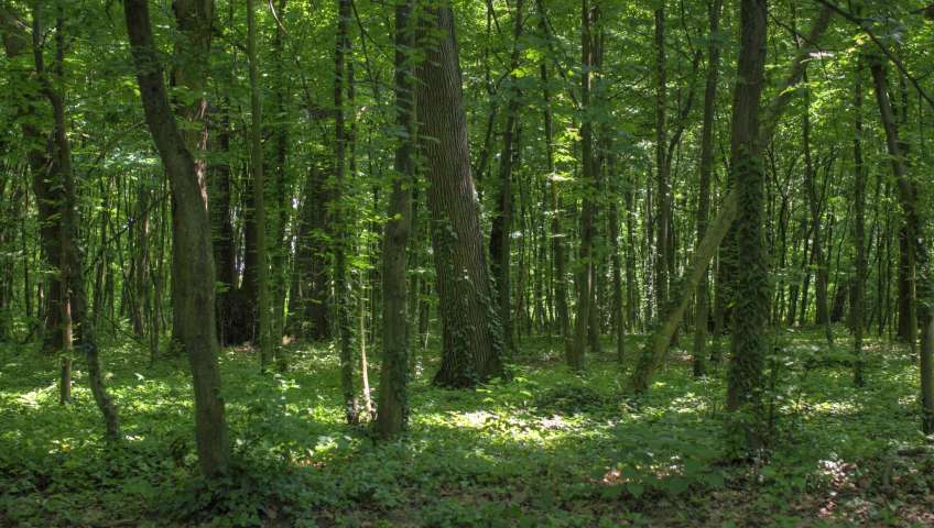 Maksimir Park in Zagreb