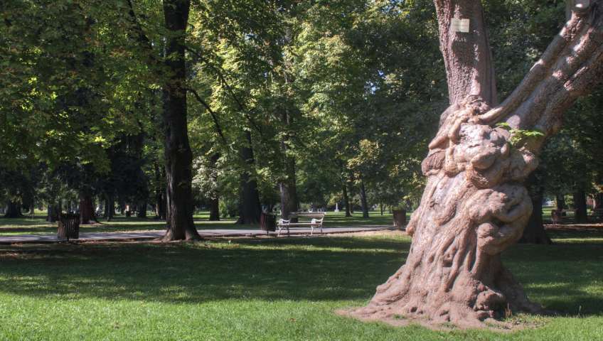 Foto Maribor