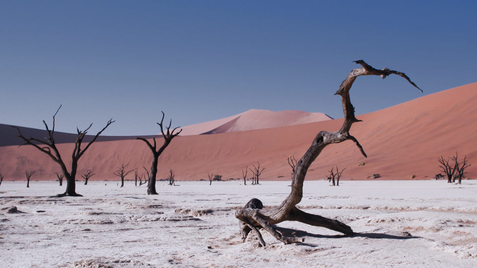 Deadvlei