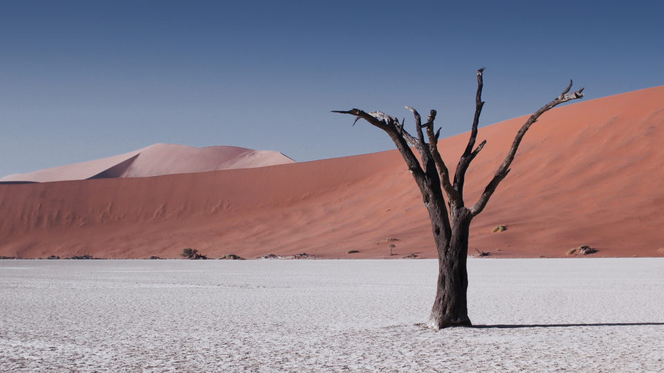Deadvlei