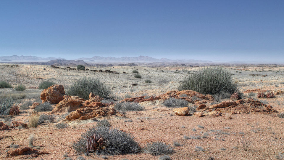 Namib Wüste