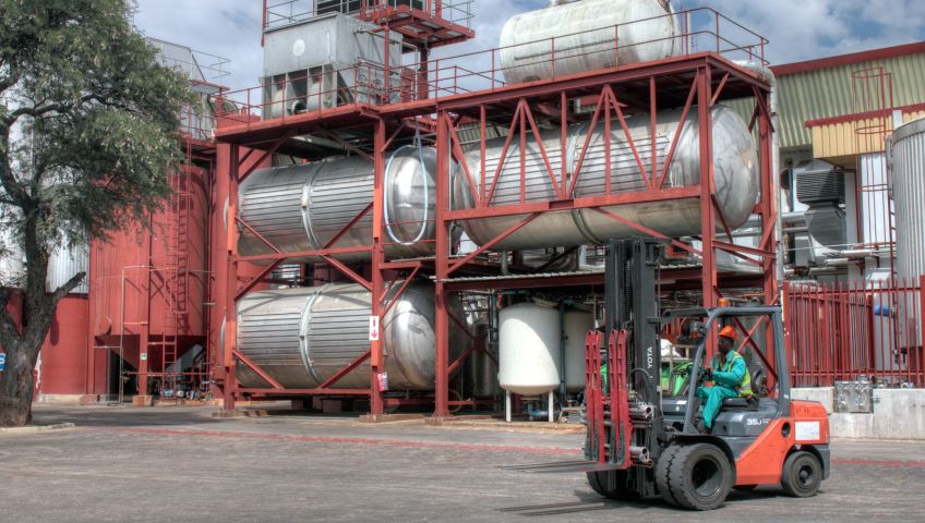 Bild in 3D ansehen Namibische Botanik