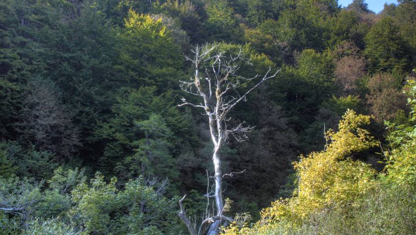 Bild in 3D ansehen Plitvica Seen