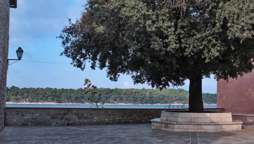 Foto Rab