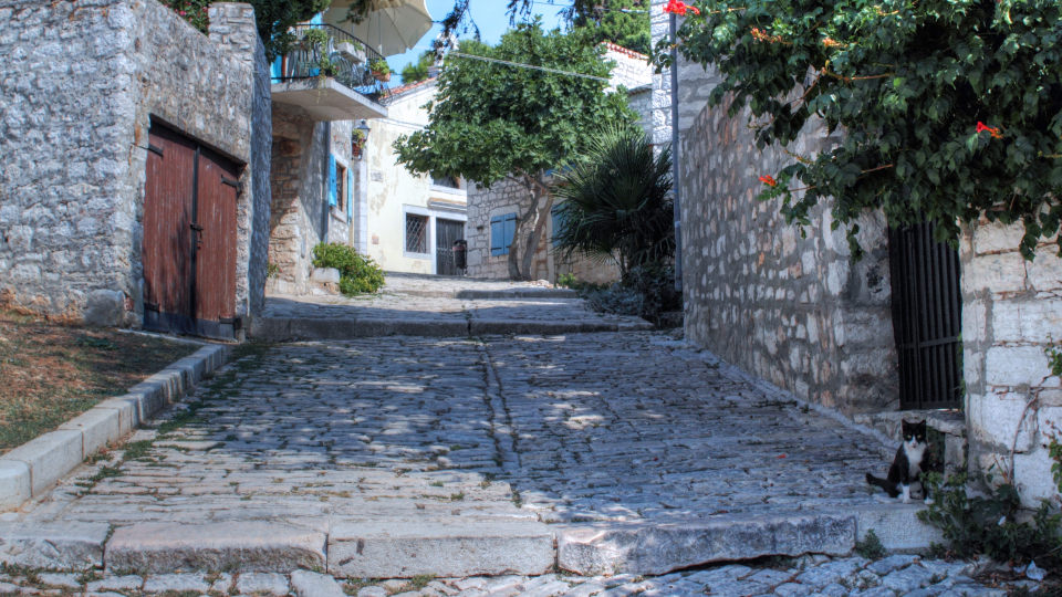 Foto Rovinji