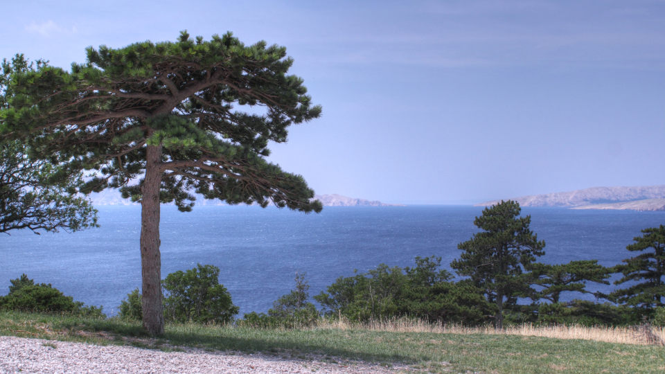 Foto Senj