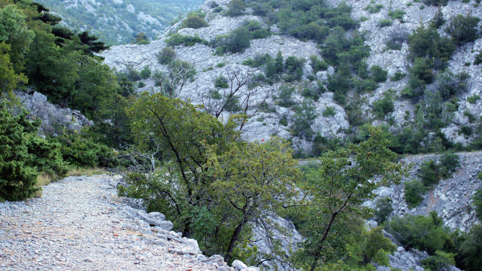Foto Senj