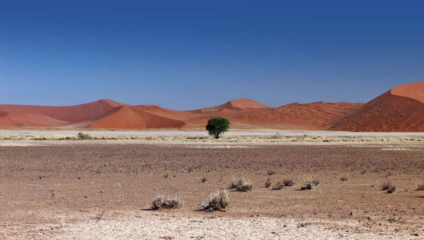 Bild in 3D ansehen Foto Sossusvlei