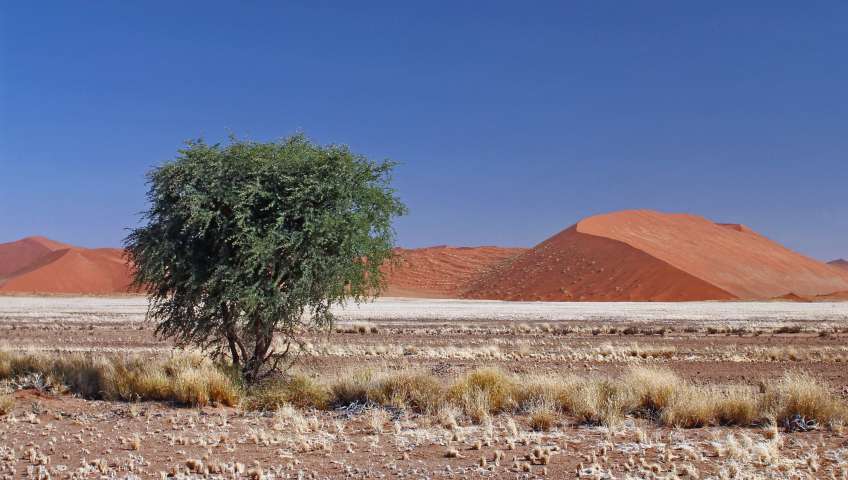 Bild in 3D ansehen Foto Sossusvlei